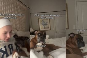 Video: Dog Slowly Moves Away From Owner After They Sneeze