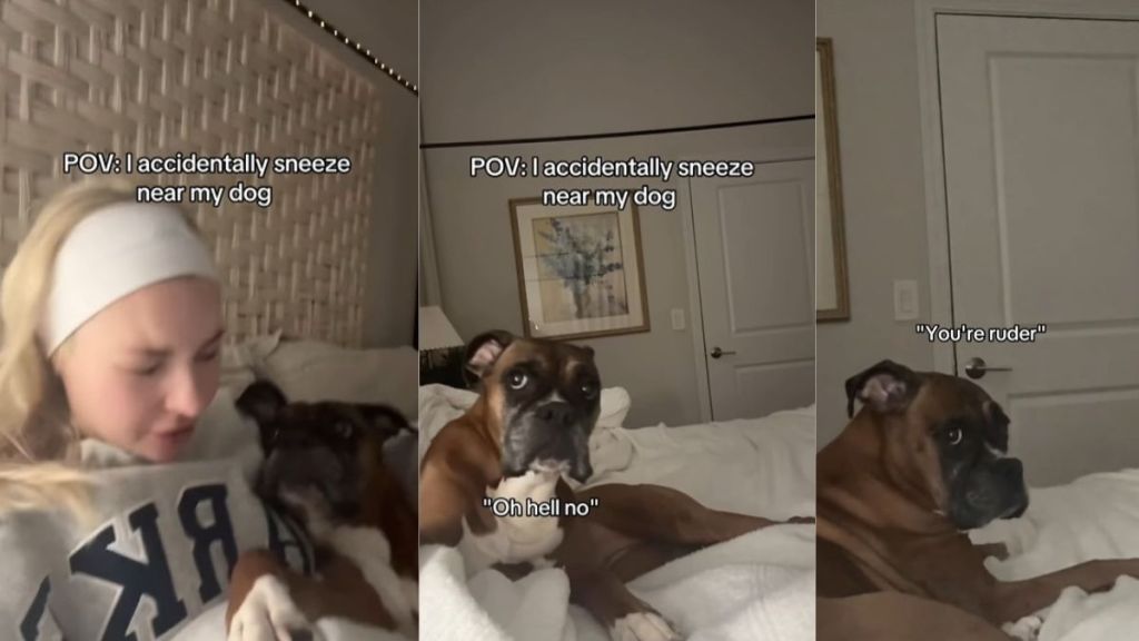 Video: Dog Slowly Moves Away From Owner After They Sneeze