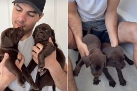 Video: Foster Puppies First Bath Was Full of Warmth & Love