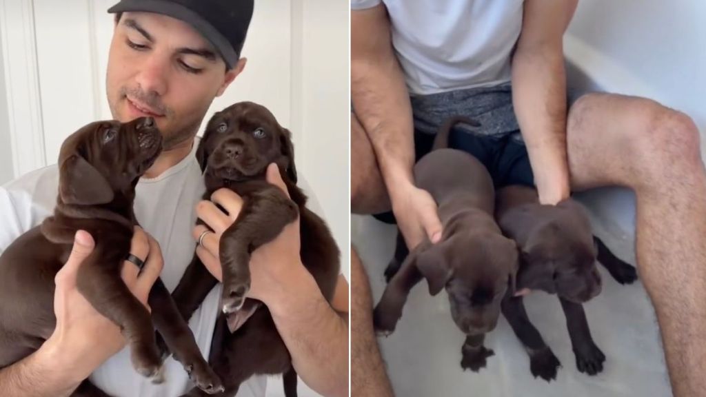 Video: Foster Puppies First Bath Was Full of Warmth & Love