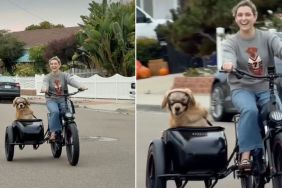 Video: Dog Enjoying Bike Ride With Owner Melts Hearts
