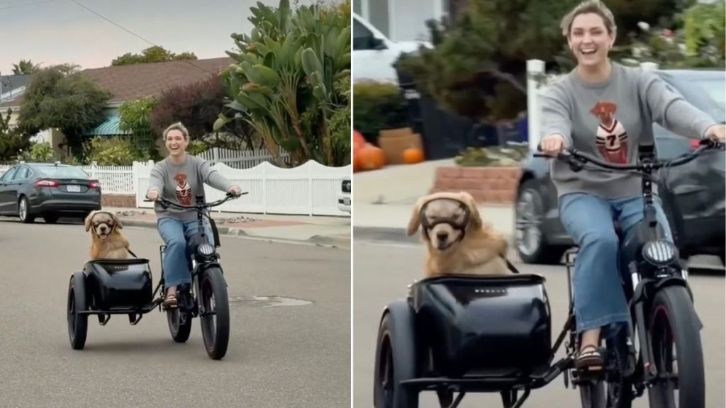 Video: Dog Enjoying Bike Ride With Owner Melts Hearts