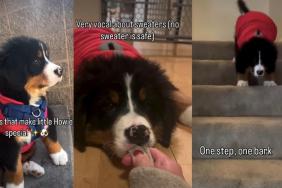 Video Shows Why This Puppy Is So Special