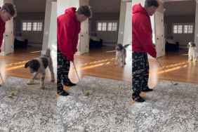 Dog's Game of Fetch Involves a Very Different Tool