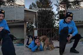 Dogs Make Filming a Tough Task in Behind-the-Scenes Video