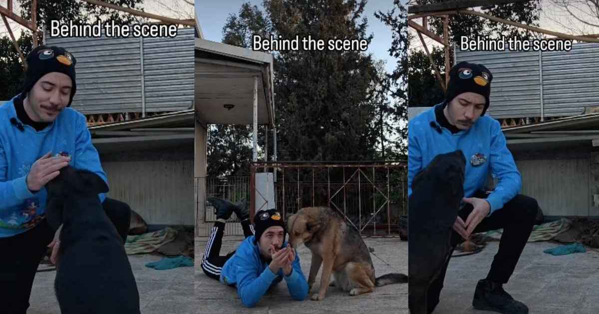 Dogs Make Filming a Tough Task in Behind-the-Scenes Video - DogTime