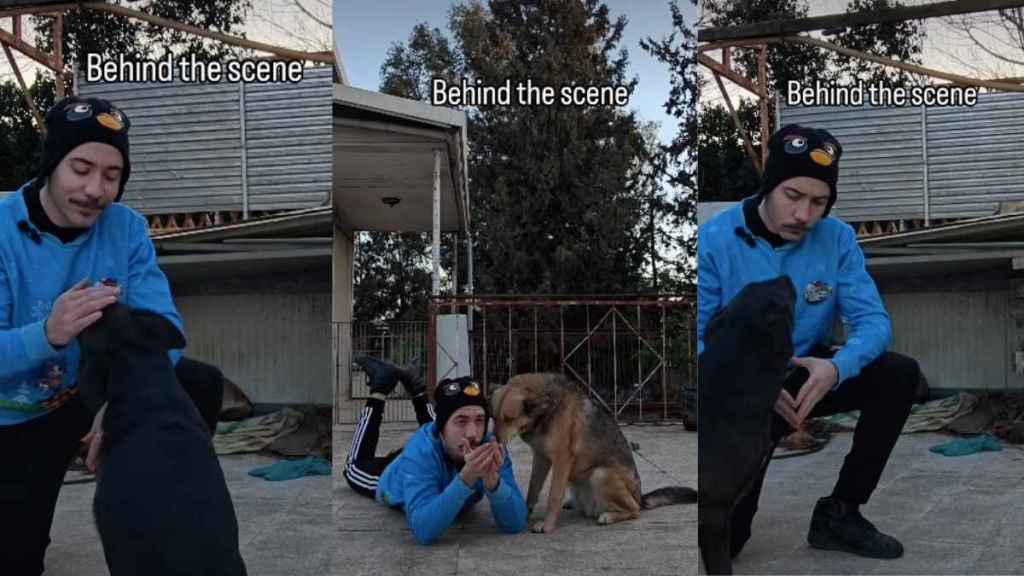 Dogs Make Filming a Tough Task in Behind-the-Scenes Video