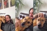Rescue Pup Gets Spooked & Immediately Rushes to Owner for Hugs