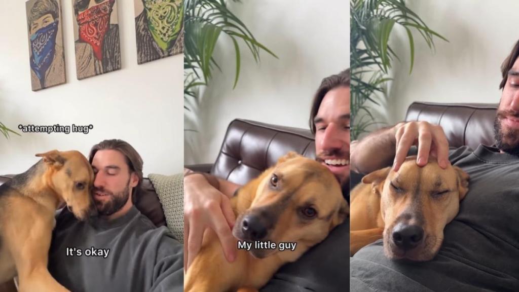Rescue Pup Gets Spooked & Immediately Rushes to Owner for Hugs