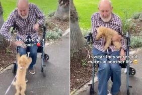 Tiny Dog & Stranger Form Unexpected Friendship in Adorable Video