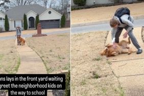 Video: Golden Retriever Waits on Front Yard to Greet Neighborhood Kids