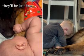 Video Shows How German Shepherd Adjusted to Newborn Baby