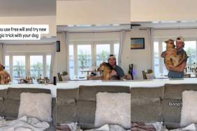 Video: Rescue Pup's Contribution to Owner's Magic Trick Will Surprise You