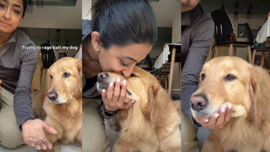 Golden Retriever Surprises Owner by Doing This Instead of Offering Paw