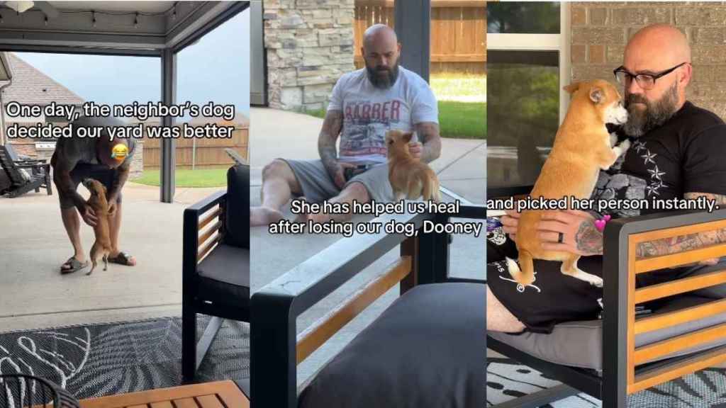 Video: Little Dog Finds Her Way Into a Neighbor’s Home & Their Hearts