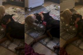 Big Dog & Tiny Human Watch TV Together in Adorable Video