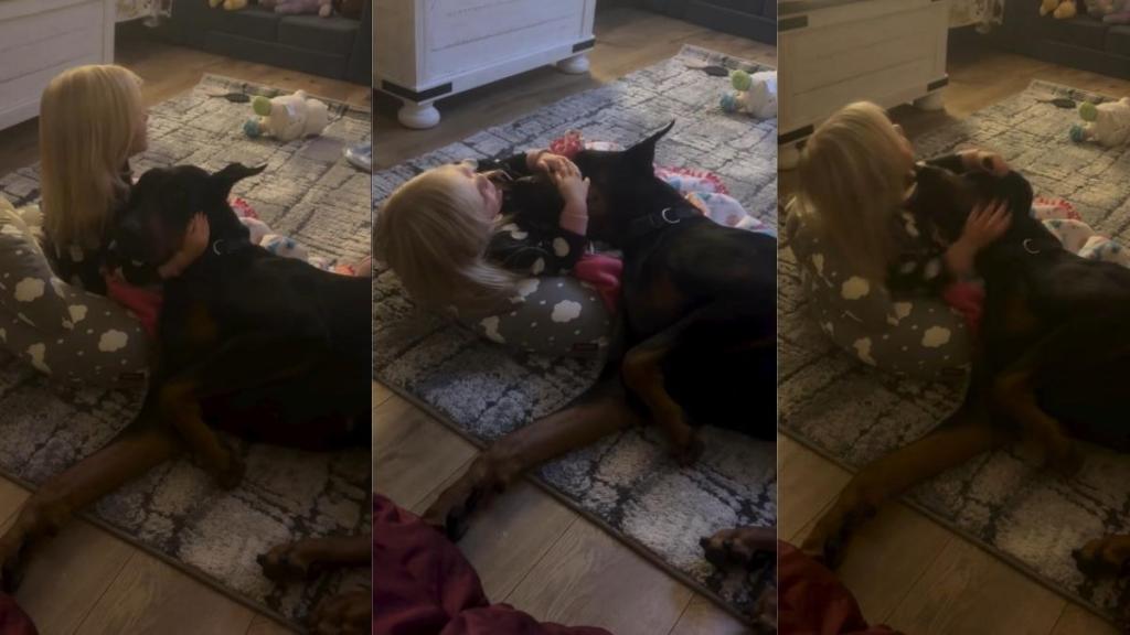 Big Dog & Tiny Human Watch TV Together in Adorable Video