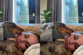 Video Shows How Dog 'Nurses' Owner Who Is Down With the Flu