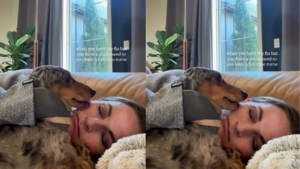 Video Shows How Dog 'Nurses' Owner Who Is Down With the Flu