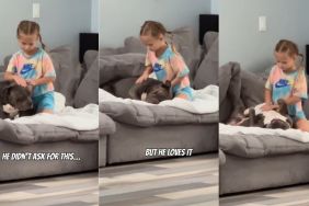Dog Melts the Moment Kid Starts Giving Him a Massage