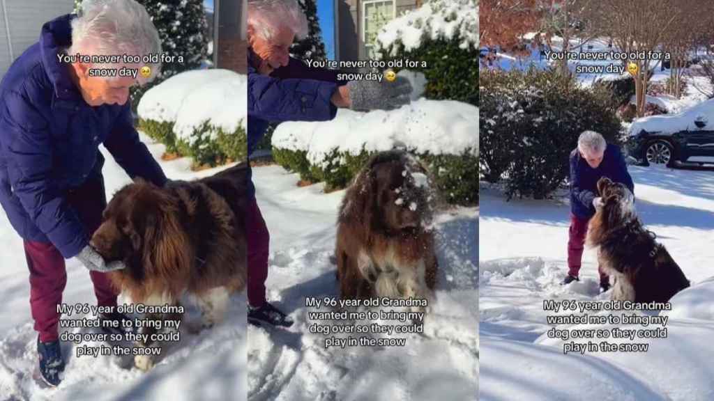 Video of Big Dog & Grandma Playing With Snow Will Make Your Day