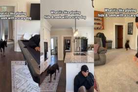 Video Shows What It's Like to Play Hide & Seek With 'Scary Dog'