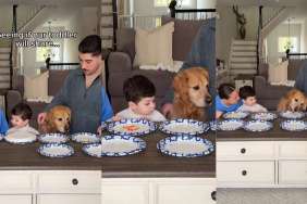 Video: Golden Retriever Appears Surprised After Toddler Shares Food