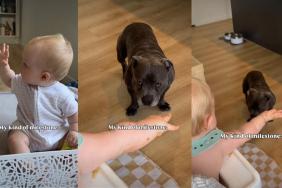 Video: Dog & Baby Deliver a Milestone Moment