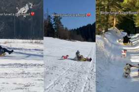 Video: Pack of Jack Russells Reacting to Sledding Is Everything