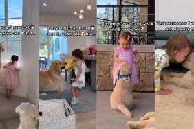 Video: Owner Captures Dog & Toddler’s Growing-up Journey
