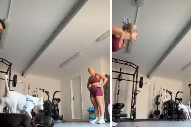 Video: Dog Bonds With Escaped Puppies Like They've Known Each Other Forever