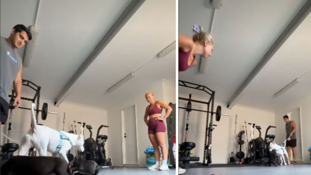 Video: Dog Bonds With Escaped Puppies Like They've Known Each Other Forever