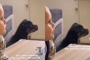Video: Puppy & Tiny Human Enjoy an Episode of Tom & Jerry