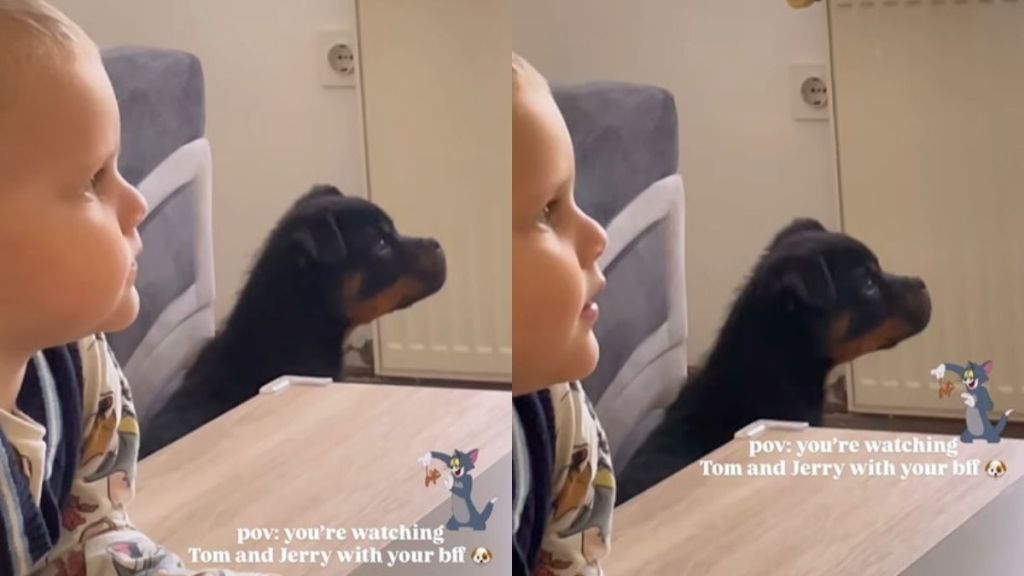 Video: Puppy & Tiny Human Enjoy an Episode of Tom & Jerry