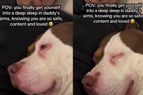 Video: Dog Lets Out Cute Snores While Sleeping in Dad’s Arms