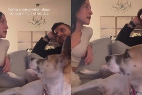 Video: Dog Possibly Understands Everything Owners Say About Her