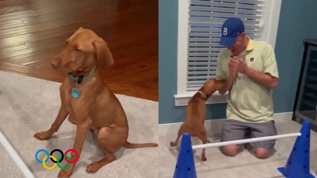 Video: Dog Competes With Herself in Homemade Winter Olympics