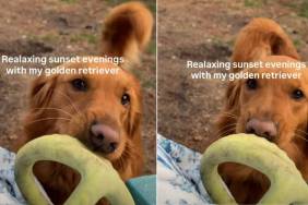 Video: Owner Reveals What ‘Relaxing’ With Dog Sounds Like