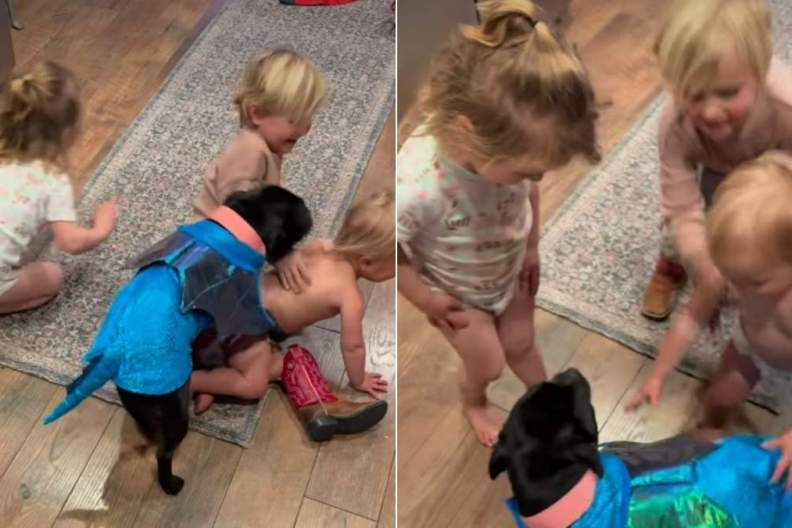 Video: Staffy Is Invested in 'Playing Pretend' With Kids