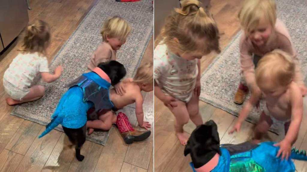 Video: Staffy Is Invested in 'Playing Pretend' With Kids
