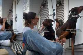 Big Dog Needs to Be Held & Kissed During Nail Trimming