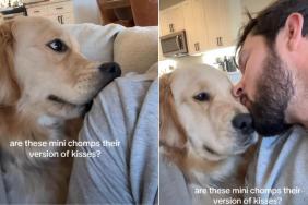 Video: This Golden Retriever's Way of Kissing His Owner Will Make Your Day