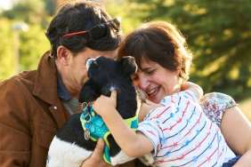 Senior Dog Reunites With Family 11 Years After Being Stolen From Home