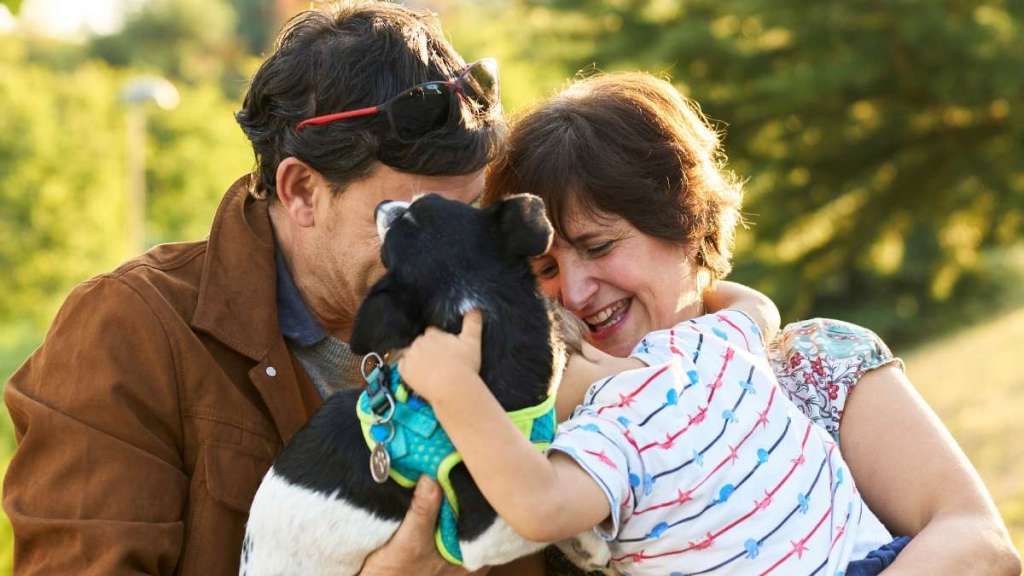 Senior Dog Reunites With Family 11 Years After Being Stolen From Home