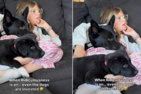 Dog & Puppy Are Fully Invested in What’s on TV