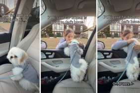 Dog Reacts When Owner Drops ‘Favorite Human’ at Dad’s House