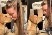 Video of Puppy Reacting to Being Kissed Repeatedly Melts Hearts