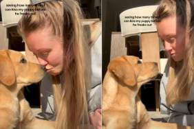 Video of Puppy Reacting to Being Kissed Repeatedly Melts Hearts