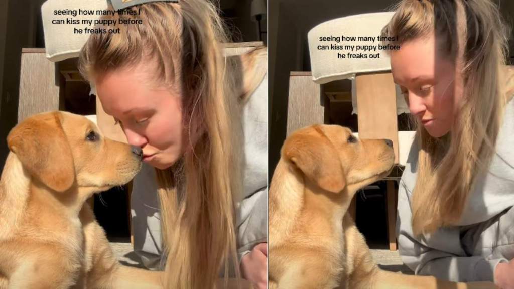 Video of Puppy Reacting to Being Kissed Repeatedly Melts Hearts