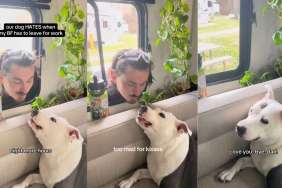 Video: Dog Doesn't Want Dad to Leave for Work